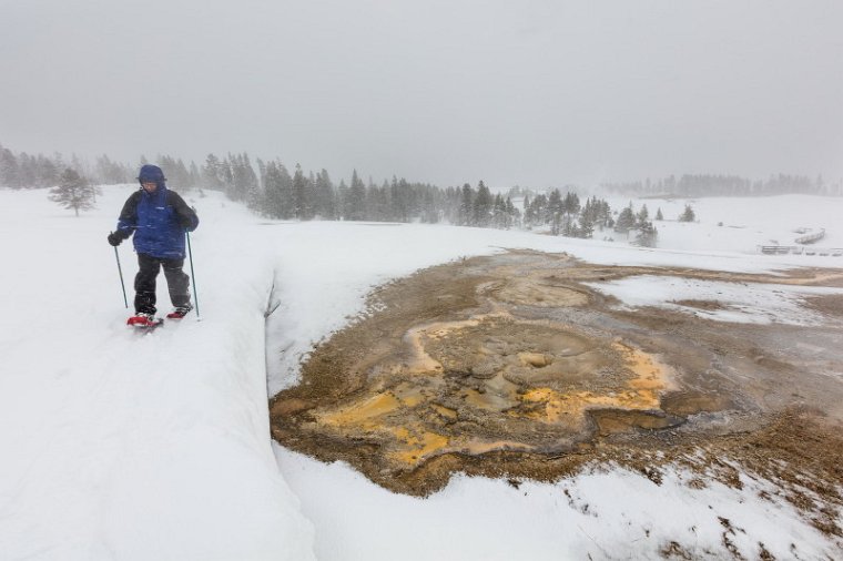 48 Yellowstone NP.jpg